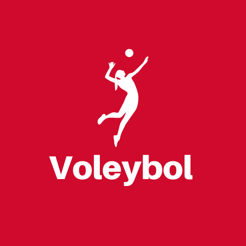 Voleybol